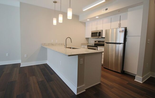1 bed, 1 bath, 534 sqft, $1,495, Unit APT 310