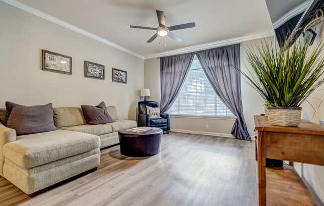 a living room with hardwood floors and a ceiling fan
