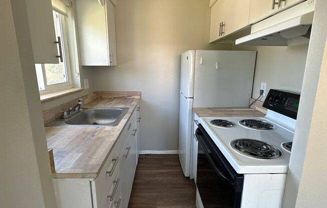 1 bed, 1 bath, 475 sqft, $1,250