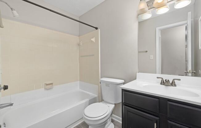 a bathroom with a tub, sink, toilet and a mirror