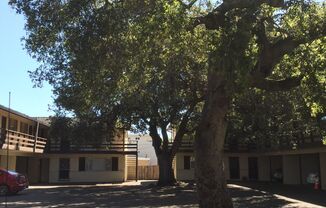 G5 + Andrea | (CHP) 774 - 778 Coleman Avenue*