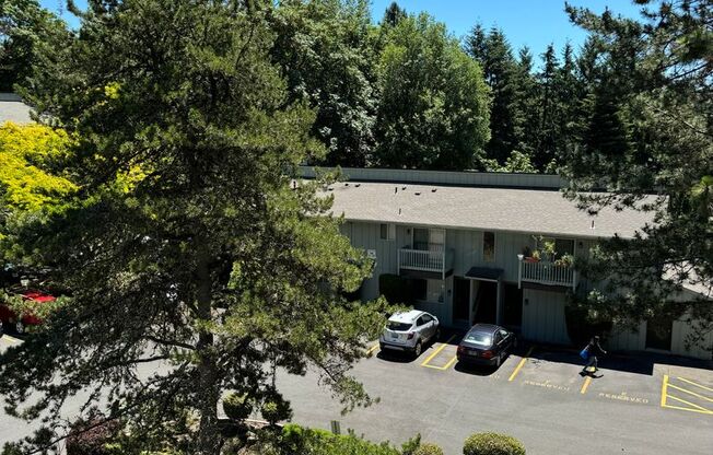 1 bed, 1 bath, 718 sqft, $1,265, Unit 14