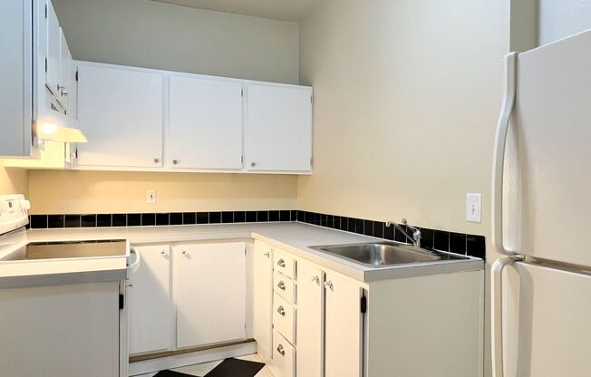 Studio, 1 bath, 525 sqft, $1,165, Unit 213