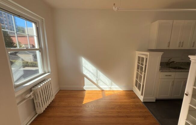 Studio, 1 bath, 301 sqft, $1,400, Unit Wellington 205