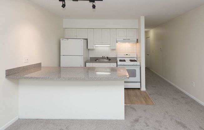 Studio, 1 bath, 518 sqft, $1,595, Unit 502N