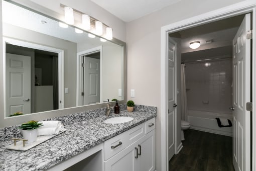 a bathroom with a sink and a mirror and a shower at Willowest in Collier Hills, Georgia, 30318