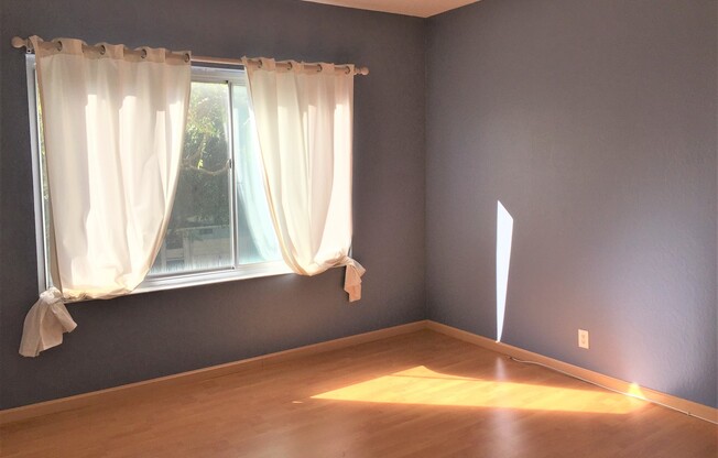 Available June lst!  Spacious, Light and Airy 1 Bedroom in Lower Pacific Heights! AMSI/Maureen Couture