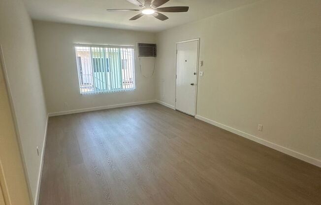 14525 Albers