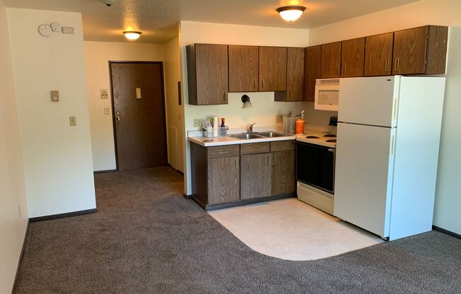 Studio, 1 bath, 325 sqft, $555, Unit 1929-15