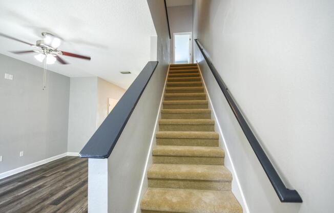 12721 BLACK MANGROVE DR