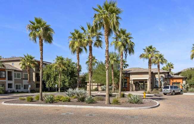 Palm trees in front of a building with a clear blue sky.