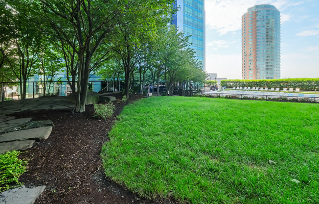 Lawn and Green Space