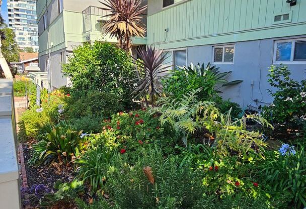 1 bed, 1 bath, 400 sqft, $1,725, Unit 12