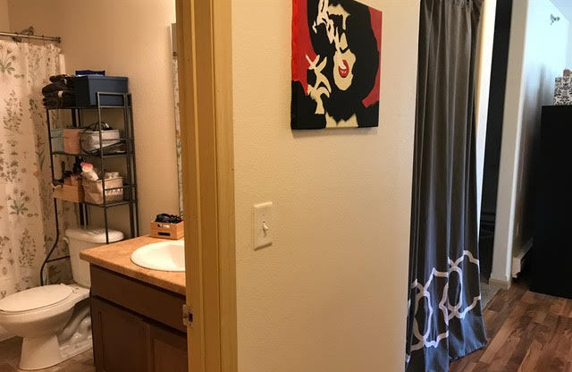 Studio, 1 bath, 454 sqft, $725, Unit 311