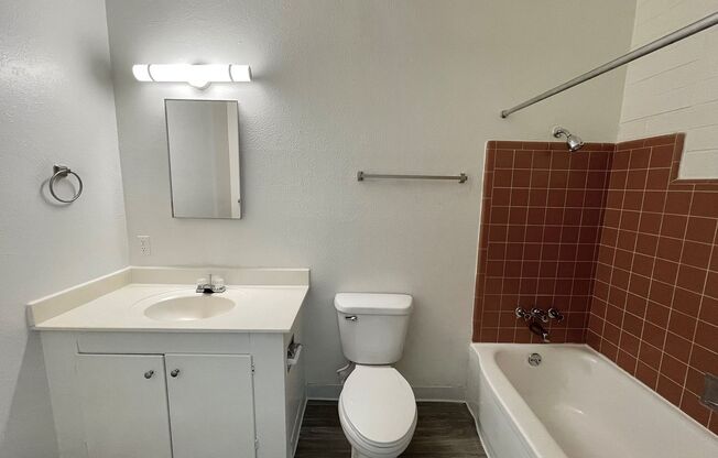 1 bed, 1 bath, 500 sqft, $1,300