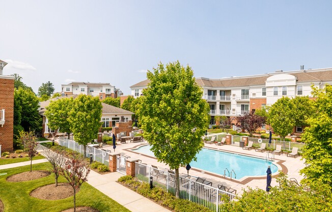 A pool surrounded by trees and a fence in a residential area.