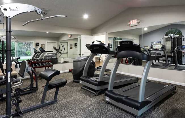 A gym with treadmills, weights, and exercise equipment.