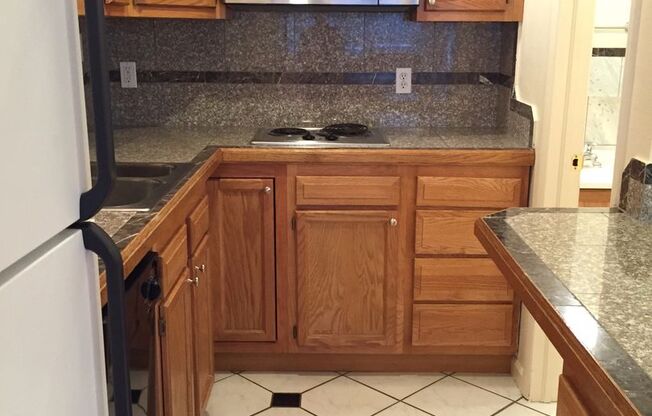 Studio, 1 bath, 250 sqft, $1,195, Unit 102