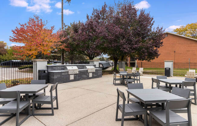 outdoor picnic and grill patio at The Waverly, Belleville, MI