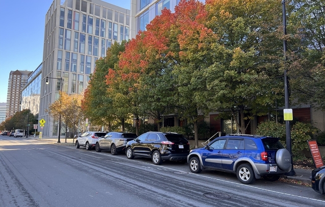 1 bed, 1 bath, 800 sqft, $3,600, Unit 402