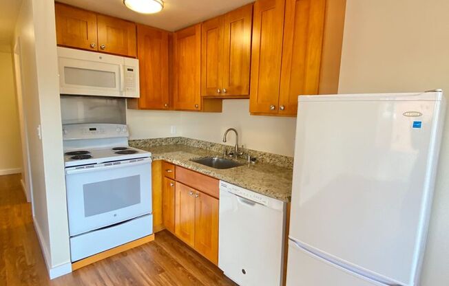1 bed, 1 bath, 495 sqft, $1,495, Unit 402