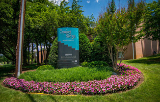 Spring Ridge Apartments Signage 12