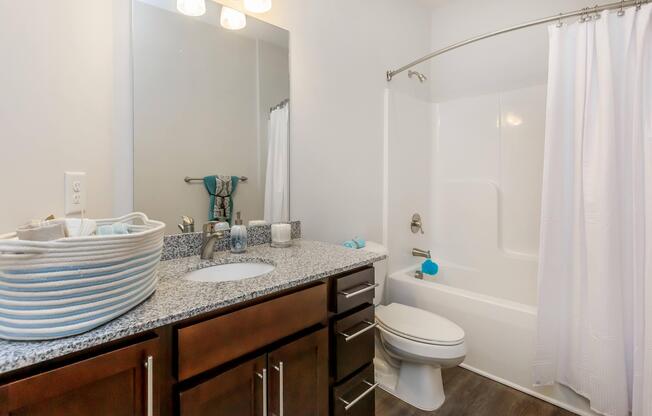 Modern Bathrooms at Riverstone Apartments at Long Shoals In Arden, NC