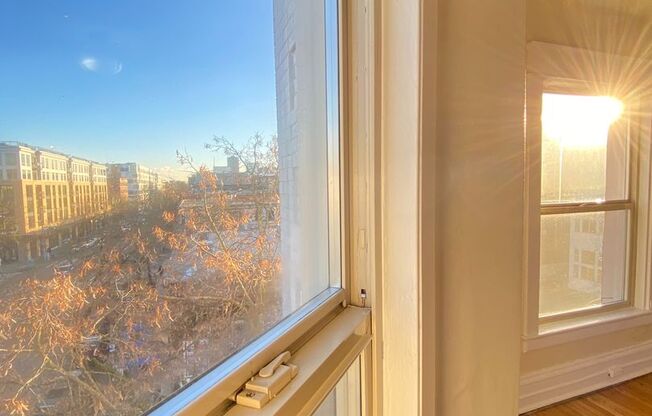 1 bed, 1 bath, 410 sqft, $1,895, Unit 402