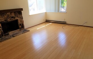 Dim - 425 Walnut St.