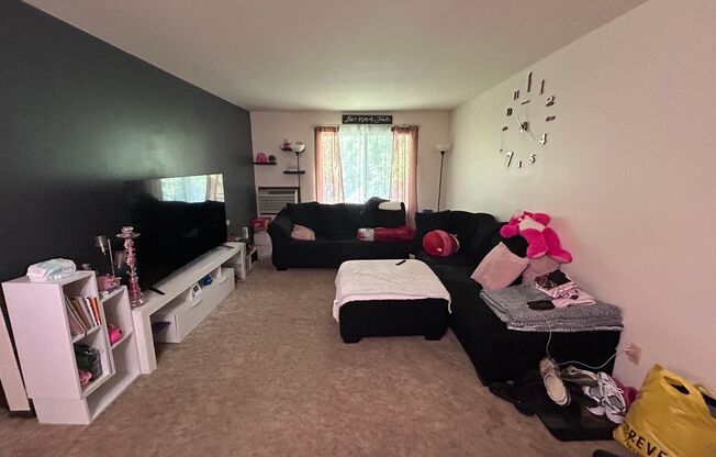 1 bed, 1 bath, $925, Unit 29