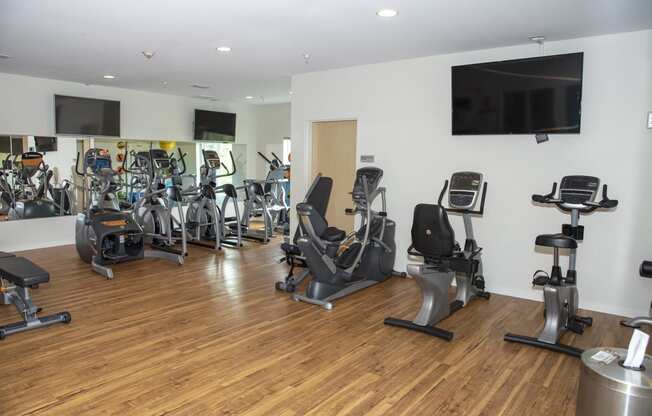 Fitness Center with Cardio and Strength Equipment