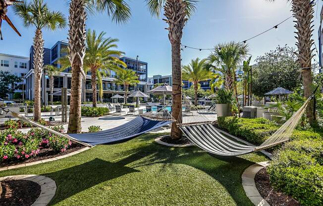 a garden with hammocks and palm trees