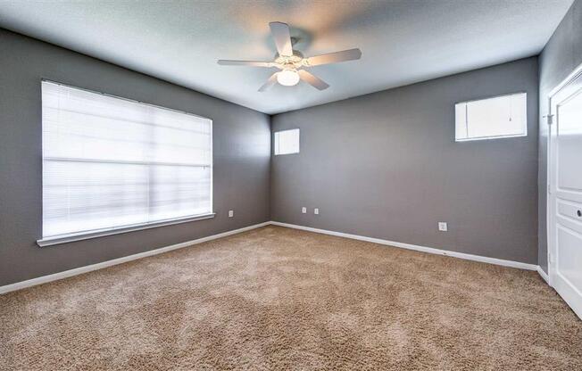 lots of natural light in apartment