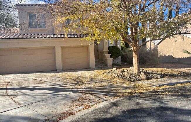 Summerlin! Fantastic Family Home!
