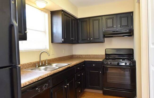 All black kitchen in Pavilion Lakes Apartments