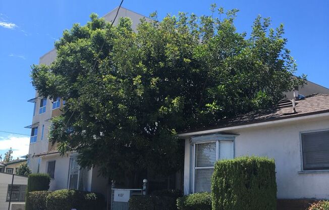 Eagle Rock Blvd.