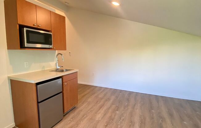 Studio, 1 bath, 175 sqft, $1,450, Unit 4511