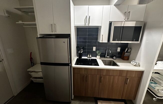 Studio, 1 bath, 244 sqft, $1,495, Unit 113 - Furnished