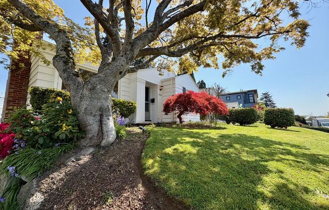 Magnolia Home