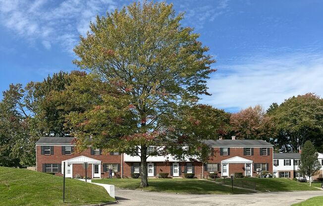 Georgetown Apartments & Townhomes