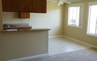 1 bed, 1 bath, 700 sqft, $1,825, Unit 20