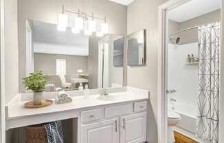 Affinitee at Stone Mountain Apartments photo of a bathroom with a large mirror and a sink