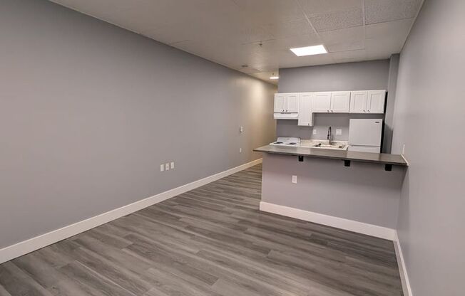 1 bed, 1 bath, 450 sqft, $850, Unit 304