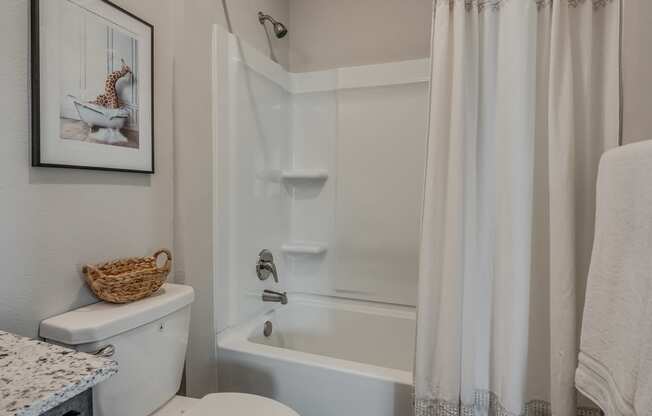 Shower With Built-In Shelving