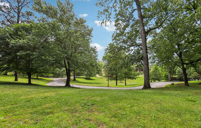 A park with a pathway and trees.