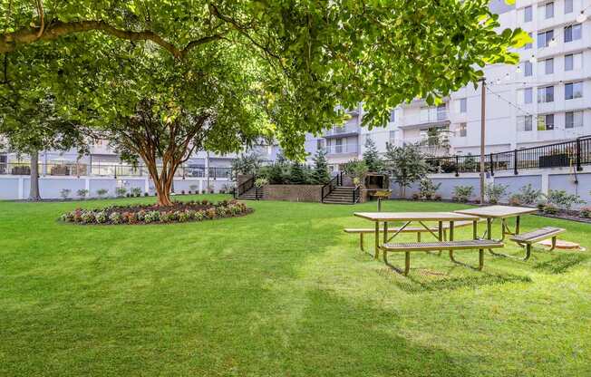 A picnic table is set up in a grassy area under a tree.