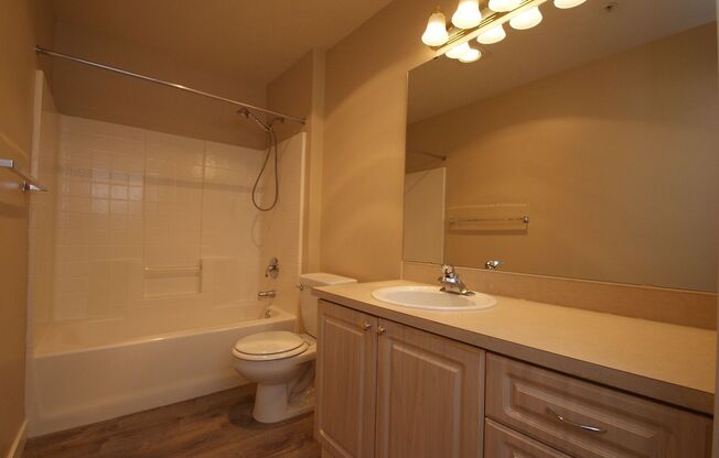 Studio, 1 bath, 413 sqft, $1,150, Unit 607