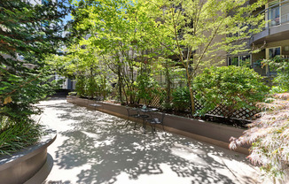 Resident Courtyard Area with tables and chairs for lounging and trees in the background at Illumina Apartment Homes, Seattle, 98102