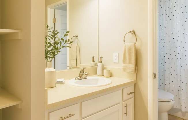 A bathroom with a white sink and a mirror above it.