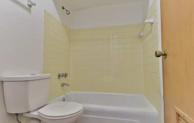 a bathroom with a toilet and a bath tub